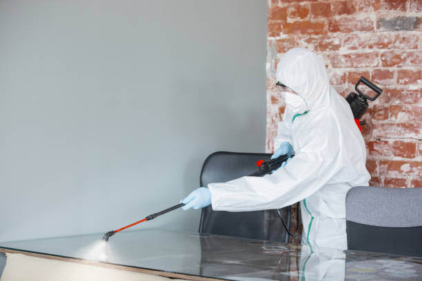 Best Mold Remediation for Rental Properties  in Richmond Hill, GA